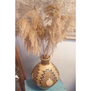 Trret Pampasgrs 80cm Bundt med 30 stk.