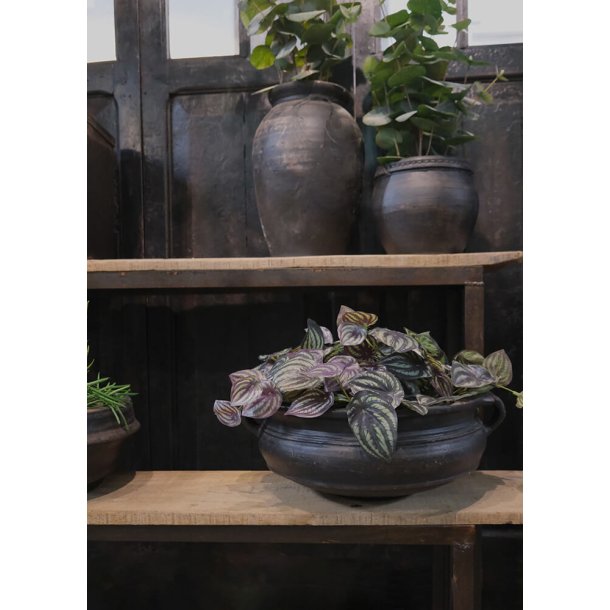 Botanic lerkrukke med hndtag - small