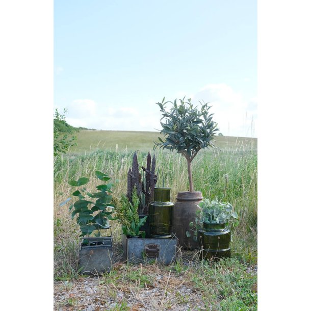 Trademark Living Stor autentisk krukke i tr - KUN 1 TILBAGE!