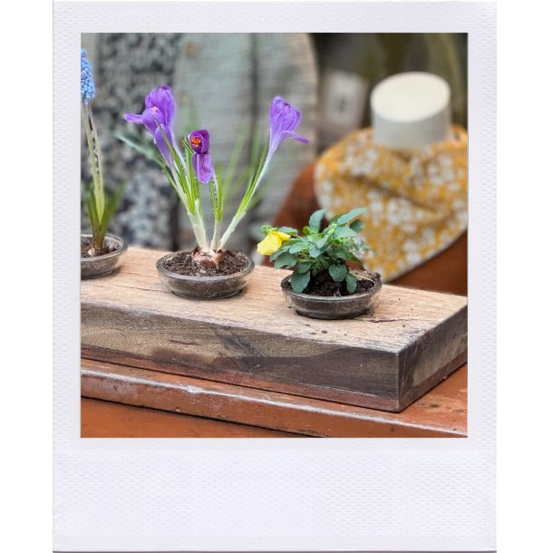 Rustik lysestage til 4 bloklys