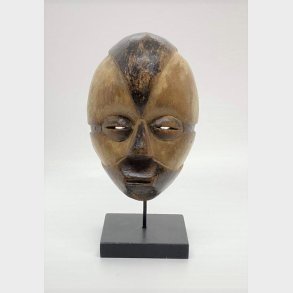 Lille afrikansk trmaske p fod